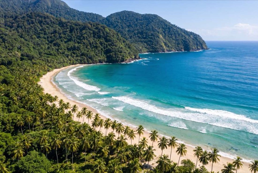 Maracas morning