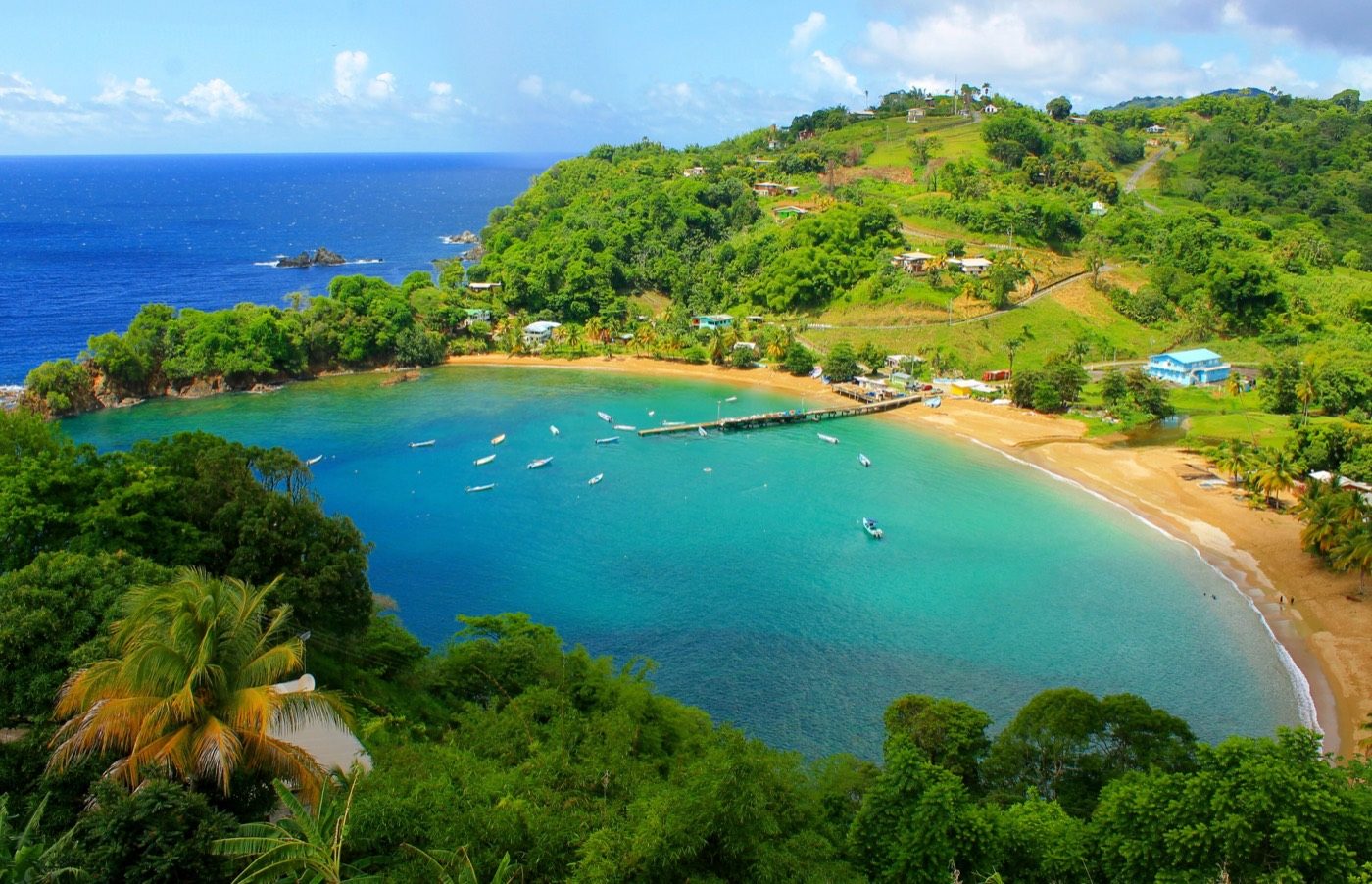 A bay on Tobago's leeward coast seen from above
